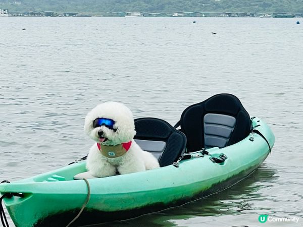 夏水炎炎緊係玩水啦