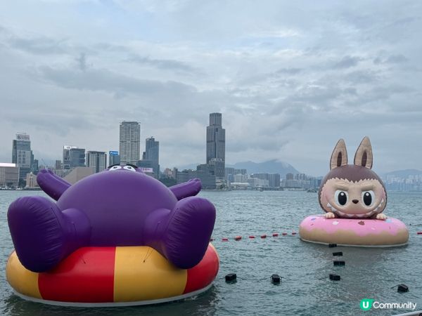 維港海上大巡遊