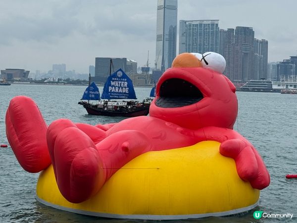 維港海上大巡遊