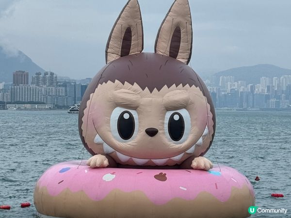 維港海上大巡遊