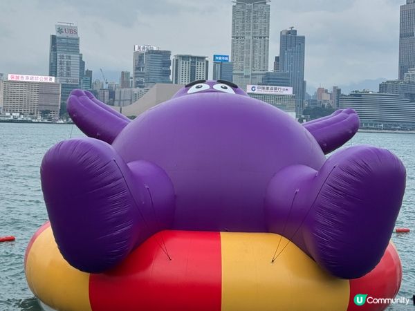 維港海上大巡遊