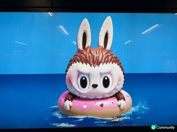 維港海上大巡遊