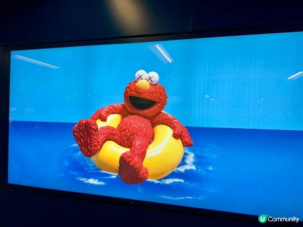 維港海上大巡遊