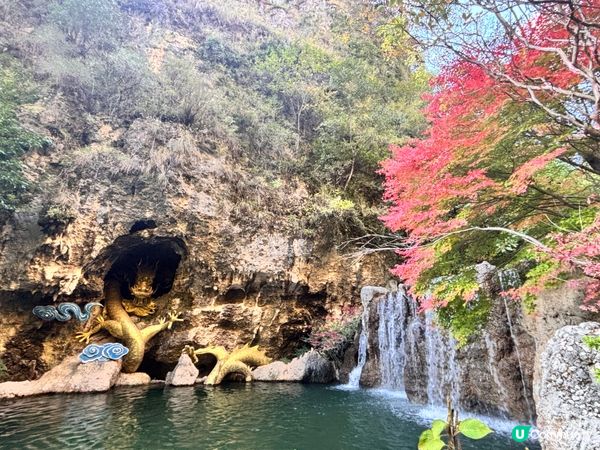 雲南/麗江東巴谷遊玩攻略