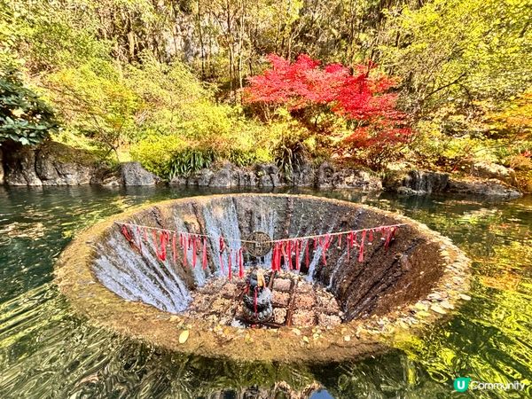 雲南/麗江東巴谷遊玩攻略