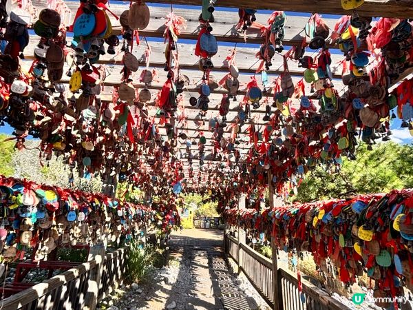 雲南/麗江東巴谷遊玩攻略