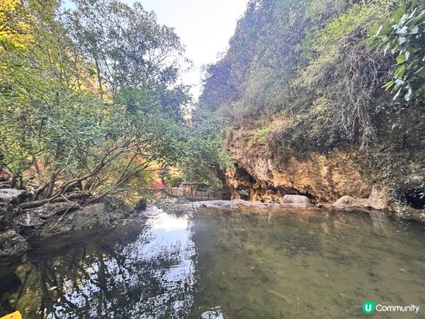 雲南/麗江東巴谷遊玩攻略