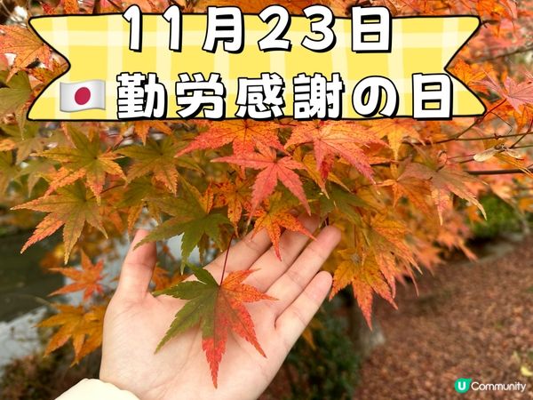 👀（今日）11月23日🇯🇵勤労感謝の日