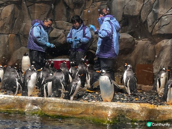 到久違的海洋公園一日遊！