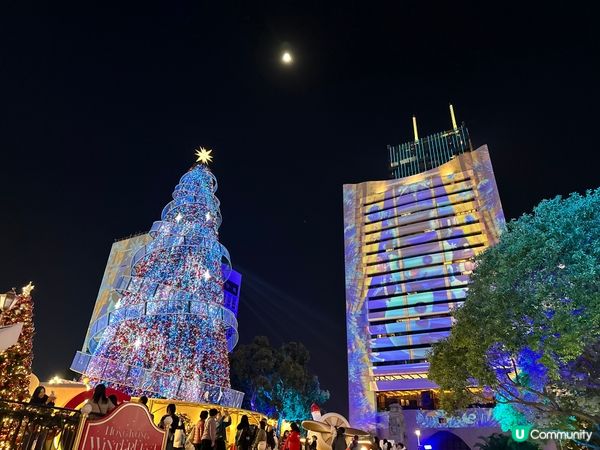 本地歐遊過冬日！