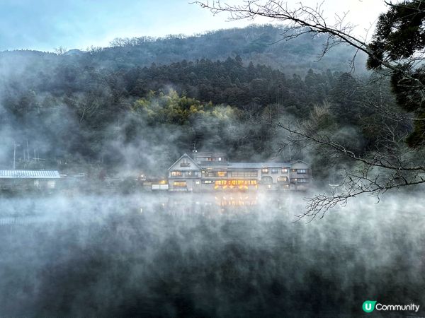 晨早金鱗湖散步 🚶‍♀️霧鎖湖面添神秘 🏞️