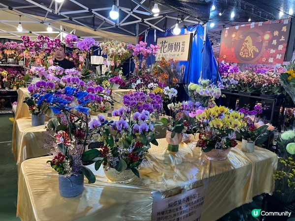 維園年宵花市