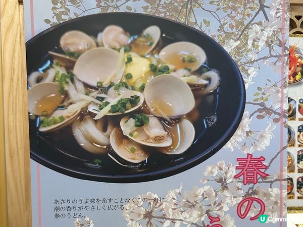 人氣熱店 — 手打讚岐烏冬店「鰹烏冬」