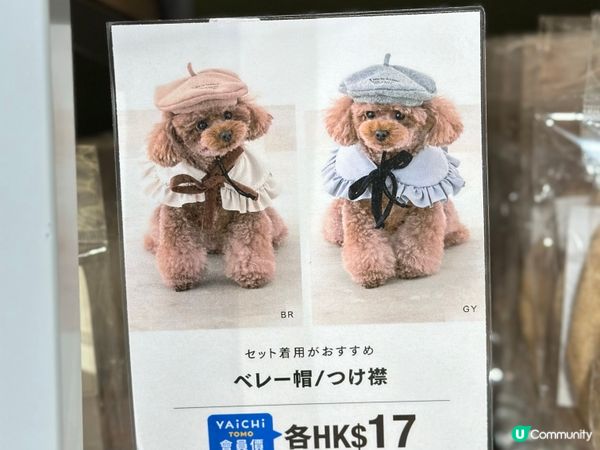 3Coins 好多嘢買！🐶🐱🛍️