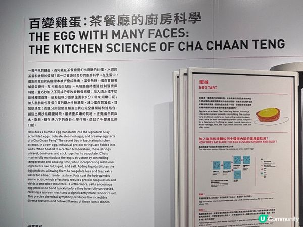 香港/🧋玩味茶記設計展覽全攻略✨  