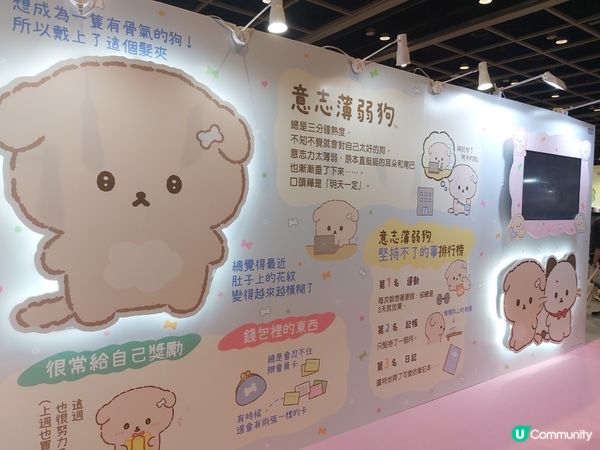 動漫節2026雜攝