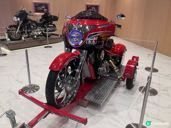 🌟 澳門賽車夢幻展！🚗💨