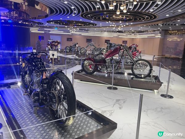 🌟 澳門賽車夢幻展！🚗💨
