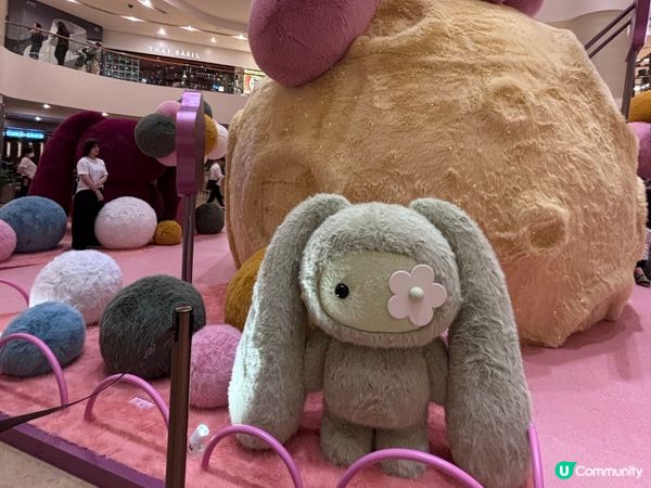 香港/太古廣場JuJu兔🐰治癒之旅✨