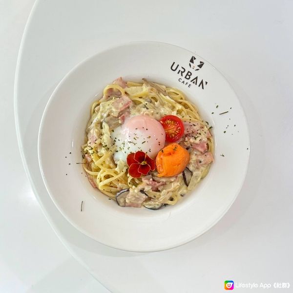 貓迷新天地@URBAN Cafe