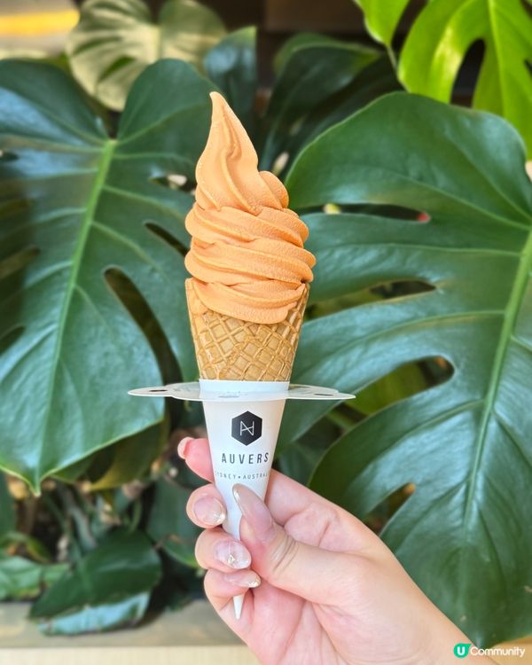 深圳打卡餐廳📸  文藝氣息爆燈！