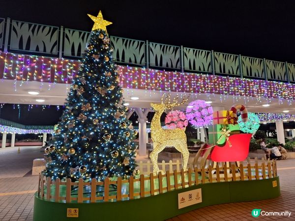 屯門靚靚聖誕燈飾