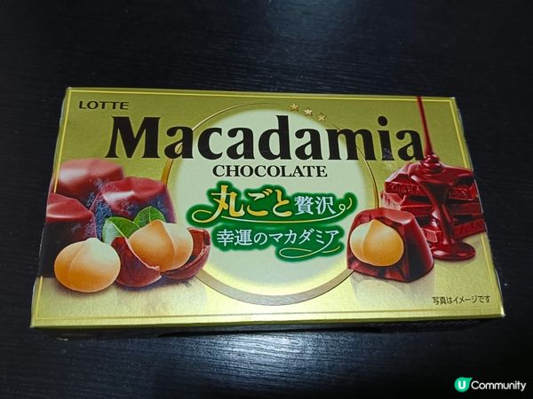 Lotte夏威夷果仁朱古力