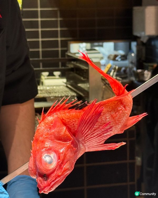 日籍師傅主理 中環隱世吟坐 炉端居酒屋🥳