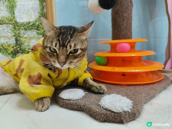 咩事嬲爆爆呢 望哩邊 笑下啦 