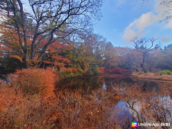 輕井澤雲場池的七彩紅葉