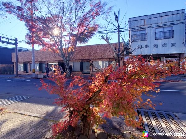 輕井澤雲場池的七彩紅葉