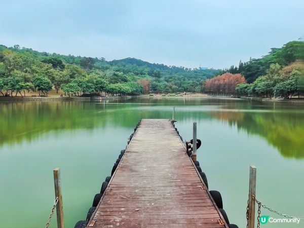 蓮花湖的光景，慢步欣賞一下自然環境美景，有時間還可以放風箏。