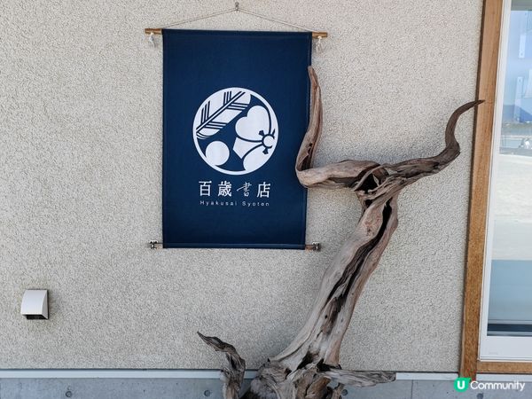 藍天白雲下在父母濱吹吹風