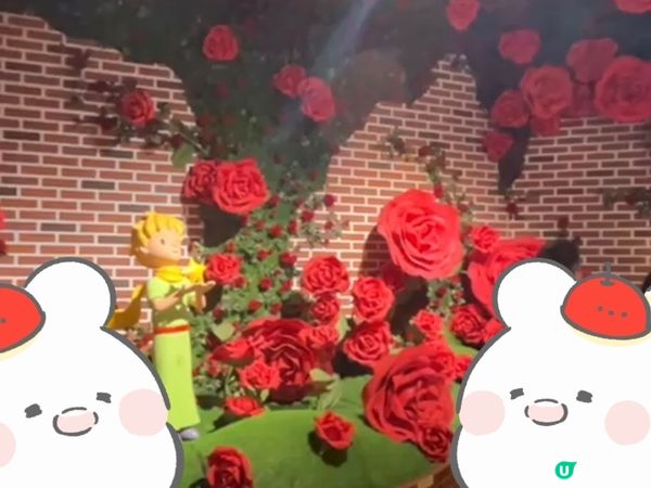 海洋公園探索✨小王子80周年星空遊歷✨