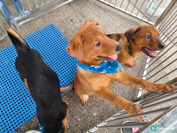 《Chill•治癒•海濱文創祭》市集