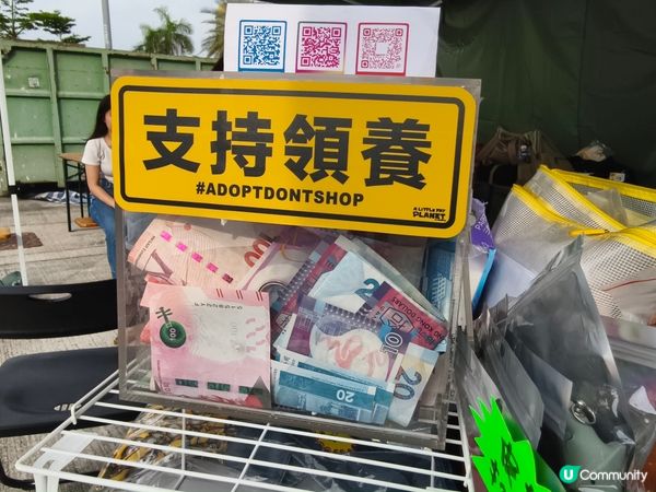 《Chill•治癒•海濱文創祭》市集