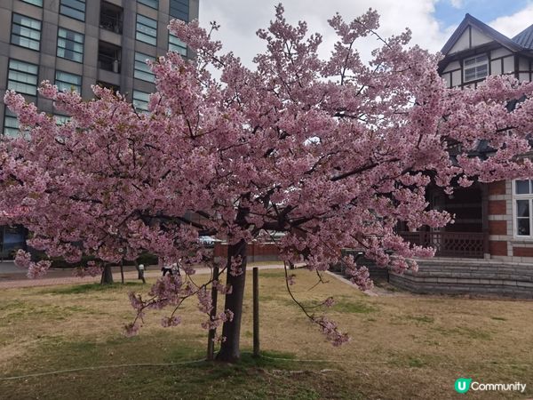 福岡，每個景點別具特色，令人感受日本風情，金鱗湖景觀優美，值...