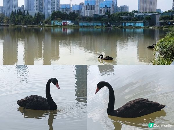 深圳全新人氣大型商場 - 大運天地 周圍都係打卡位 超多人