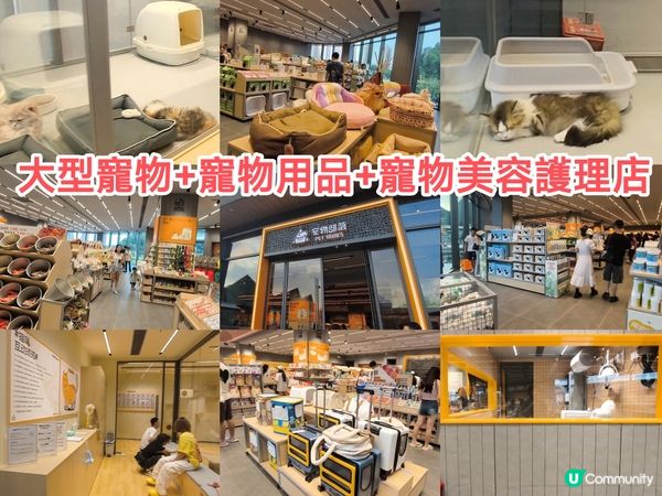 深圳全新人氣大型商場 - 大運天地 周圍都係打卡位 超多人