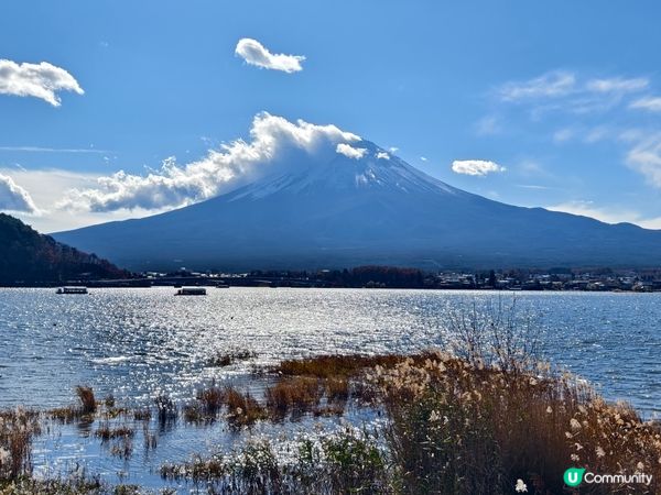 捉緊紅葉的尾巴