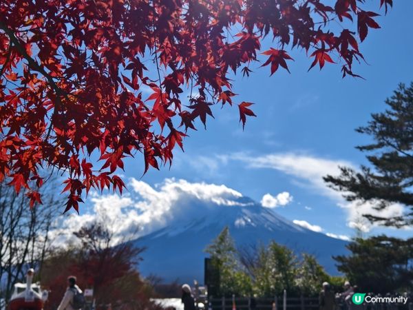 捉緊紅葉的尾巴