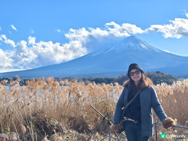河口湖賞花好去處