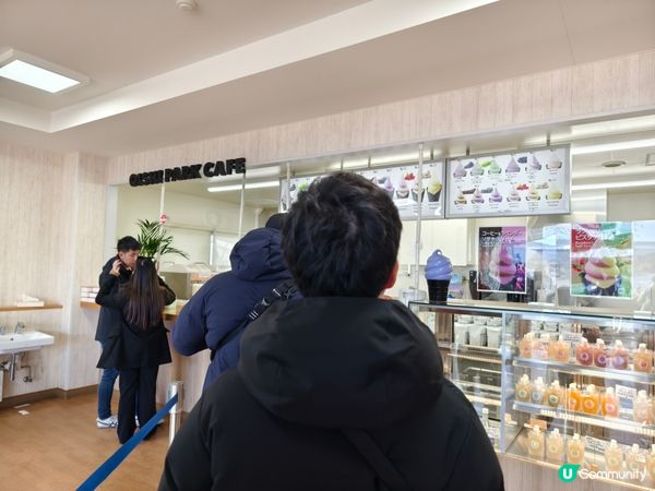 河口湖賞花好去處