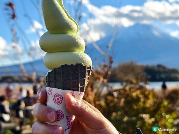 河口湖賞花好去處