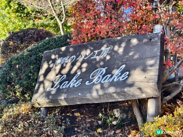 河口湖賞花好去處