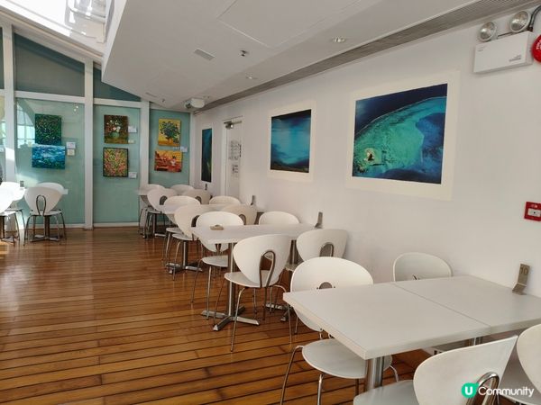 中環嘆咖啡☕️ 海景靚到爆💥