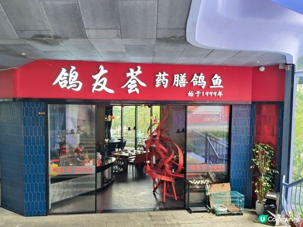 中山小欖匯豐城《鴿友薈藥膳鴿魚》：滋補與美味的完美邂逅