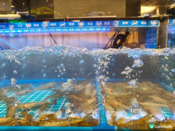 觀塘泰式火鍋放題｜泰金鍋丨120分鐘任飲任食丨青檸椰奶雞湯