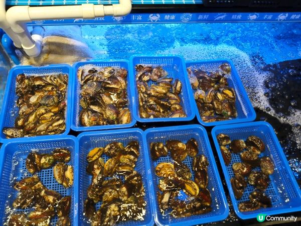 觀塘泰式火鍋放題｜泰金鍋丨120分鐘任飲任食丨青檸椰奶雞湯