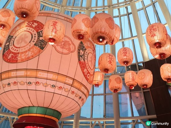 ## 深圳米芝蓮大鴿飯 🐦🥢  食評！